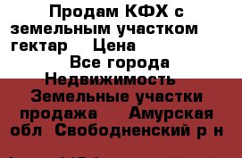 Продам КФХ с земельным участком 516 гектар. › Цена ­ 40 000 000 - Все города Недвижимость » Земельные участки продажа   . Амурская обл.,Свободненский р-н